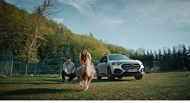 Mercedes-Benz Türkiye ve HAÇİKO’dan Köpeklere Özel Güvenli Yolculuk Filmi: “İlk Yolculuk”