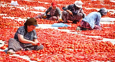 Torbalı’nın kuru domates emekçileri yalnız bırakılmadı
