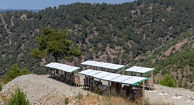 Yenişehir’de 3 Bin 600 dekarlık arı cenneti