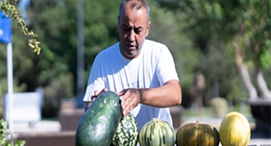 Yeşil alanlar 103 etkinlikle kentin buluşma noktası oldu