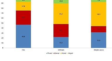 Yıllık Sanayi ve Hizmet İstatistikleri, 2025