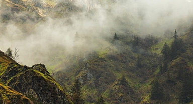 4 Bölümden Oluşan ‘Vahşi Karpatlar’, 26 Eylül Cumartesi Saat 20.00’de Art Arda Tüm Bölümleriyle National Geographic WILD Ekranlarında!