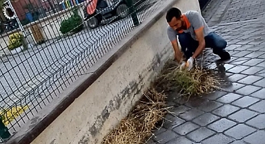 Burhaniye’de Mazgal Temizliği Çalışmaları Titizlikle Sürüyor