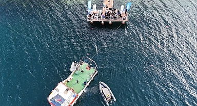 Dip çamuruydu, canlılara yuva oldu