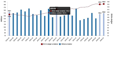 Dış Ticaret Endeksleri, Temmuz 2026