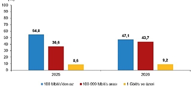 Girişimlerde Bilişim Teknolojileri Kullanım Araştırması, 2026