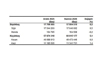 Hayvancılık İstatistikleri, Haziran 2026