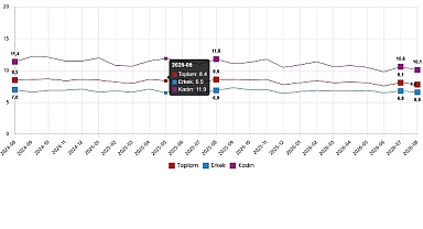 İşgücü İstatistikleri, Ağustos 2026