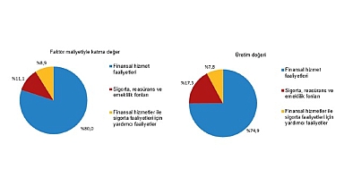 Mali Aracı Kuruluş İstatistikleri, 2025