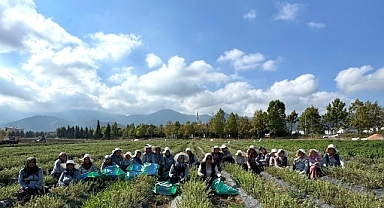 TABİP’te üretimden markalaşmaya uzanan hasat