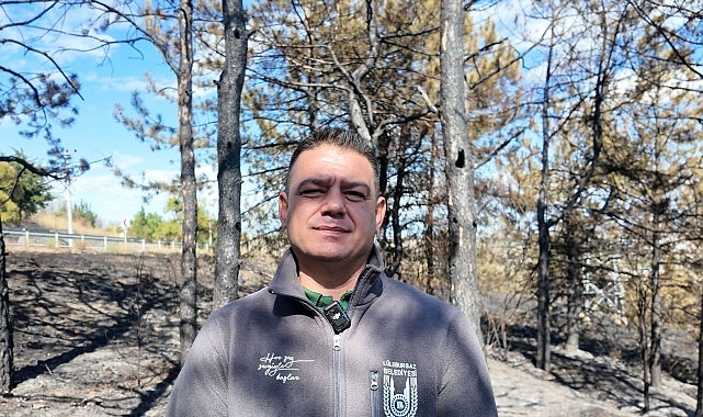 Yanan ağaçlık alanlar yeniden yeşerecek!