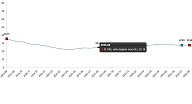 Yurt İçi Üretici Fiyat Endeksi, Ağustos 2026