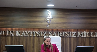 Başkan Vekili Özdemir’den Altıntaş açıklaması