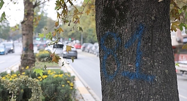  Eyüpsultan-Bayrampaşa Tramvayı’nda Çalışmalar Hızlandı