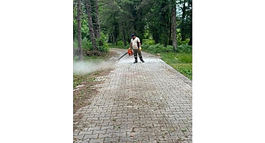 Gebze’deki mezarlıklarda yoğun mesai