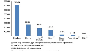 Hanehalkı Nihai Enerji Tüketim İstatistikleri, 2025