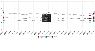 İşgücü İstatistikleri, Eylül 2026