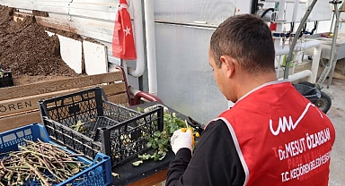 Keçiören Belediyesi Serasında Özel Bireyler İçin “Dijital Detoks” Etkinliği