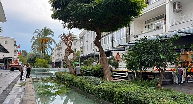 Kemer Liman Caddesi’nde kış öncesi bakım çalışması 