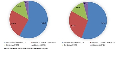 Kurumsal Sektör Hesapları, 2025
