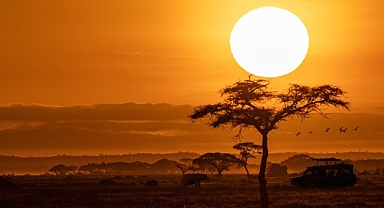 National Geographic NOW Seç-İzle Servisinin Ekim Ayı Teması ‘Afrika’!