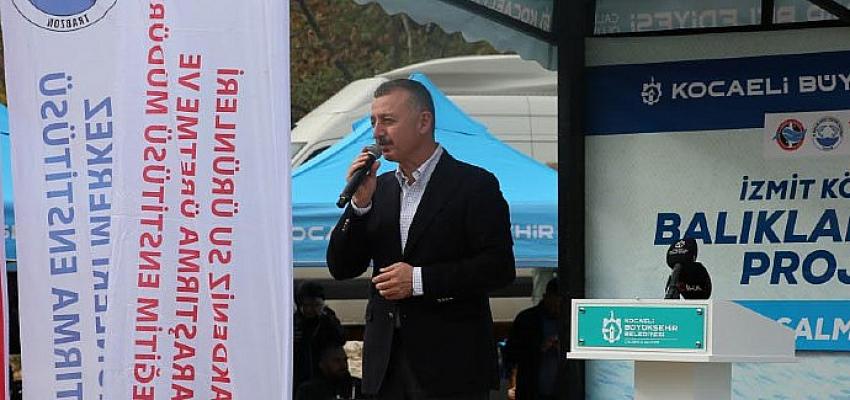 Karamürsel'den Körfez'e 6 bin balık salındı