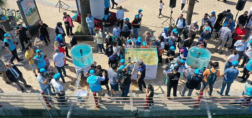 6 bin yavru balık İzmit Körfezi'ne salındı