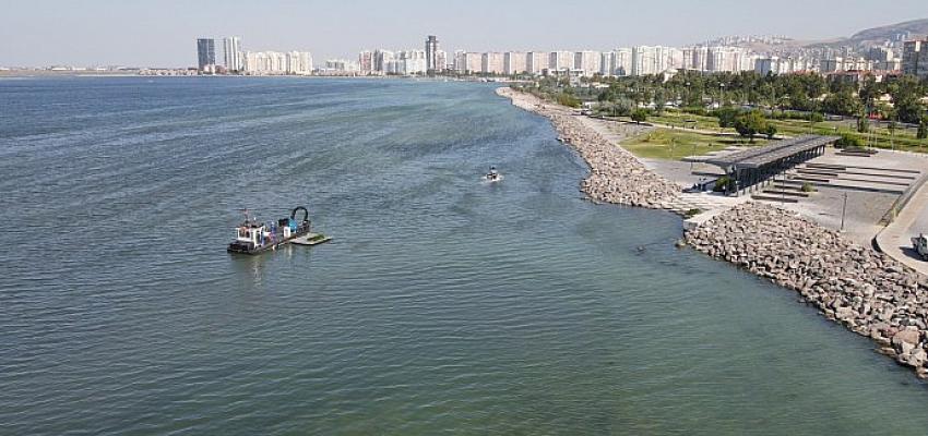 Bostanlı'daki deniz marulu temizliği tamamlandı