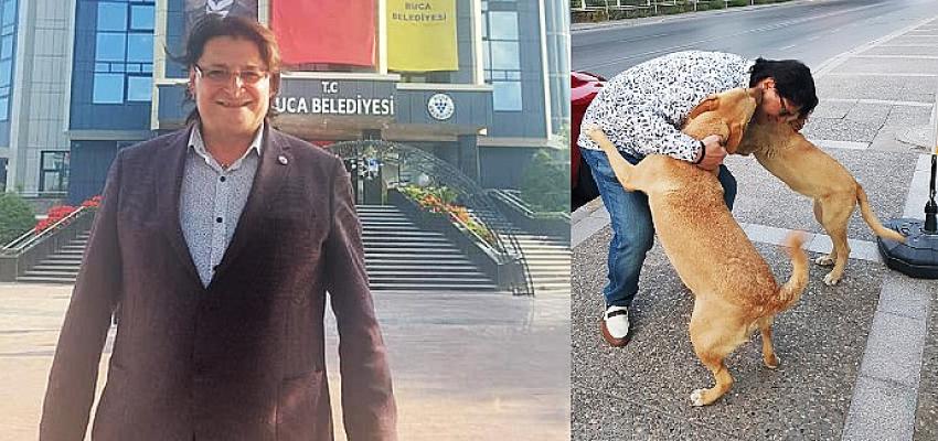 AK Partili İnce'den sokak köpekleri çıkışı
