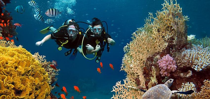 Adrenalin tutkunları için yaz aylarında gidilebilecek 7 özel rota