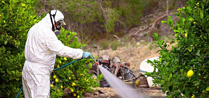 Zehirsiz Sofralar Platformu: Tarım Zehirlerinde Rekor Artış