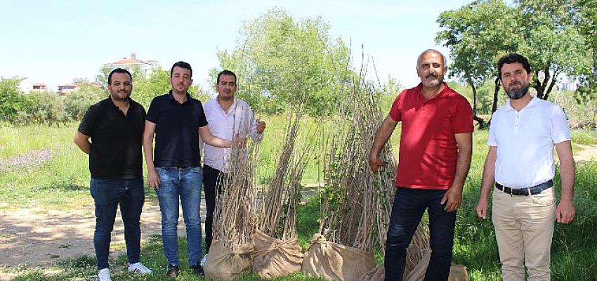 Büyükşehir'den ipekböcekçiliğine destek