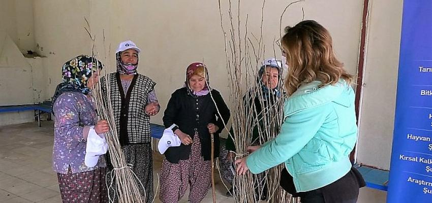 Büyükşehir'den ipekböceği yetiştiricilerine destek Alanya Alacami Mahallesi'nde dutfidanı dağıtıldı