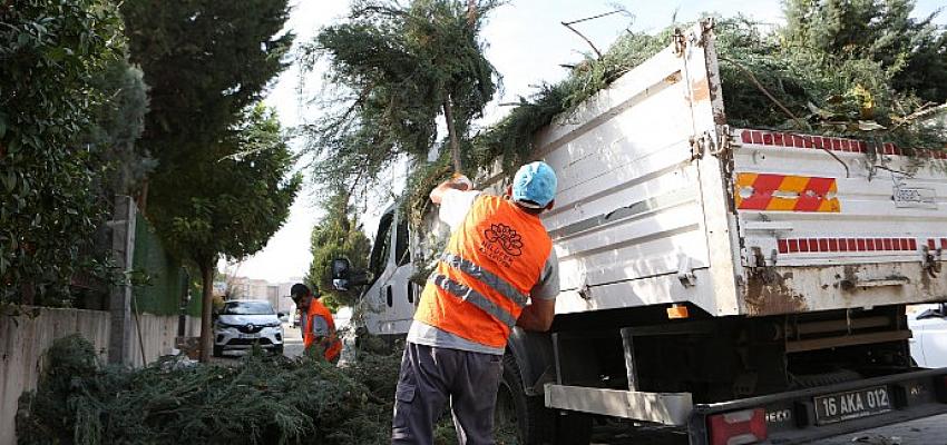Nilüfer’de bahçe ve budama atıkları kompost oluyor