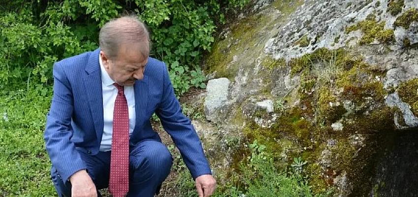 Haymana'da Bir Zarif Çiçek