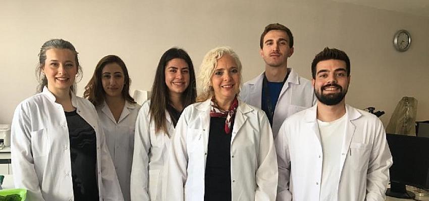 İzmir Körfezi'ndeki yosunlar ekonomiye kazandırılacak
