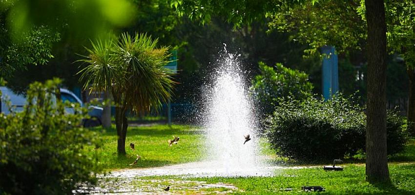 Bayraklı’nın yeşil oranı her yıl artıyor