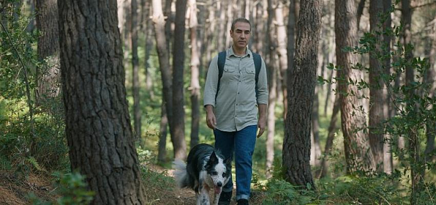 Dyson ve National Geographic’le İstanbul'daki hava kirliliğini keşfedin