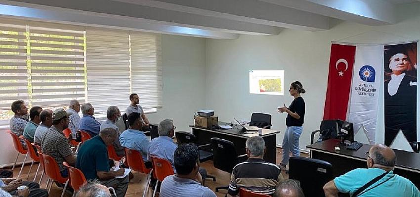Antalya Büyükşehir'den Aksekili üreticilere destek