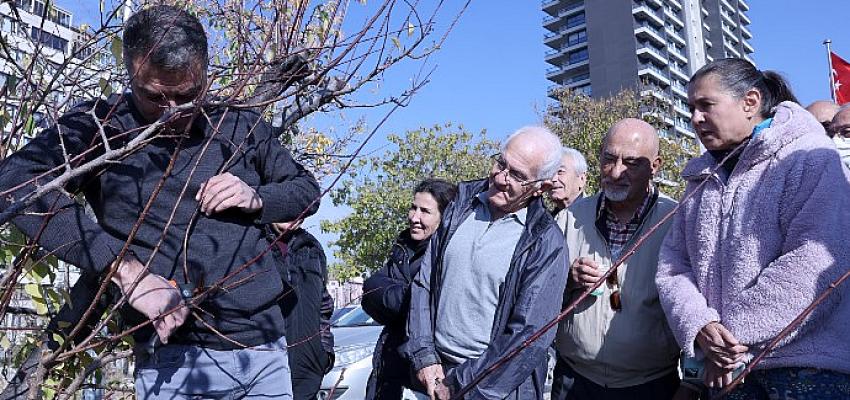 Kent Tarım’da Budama Eğitimi