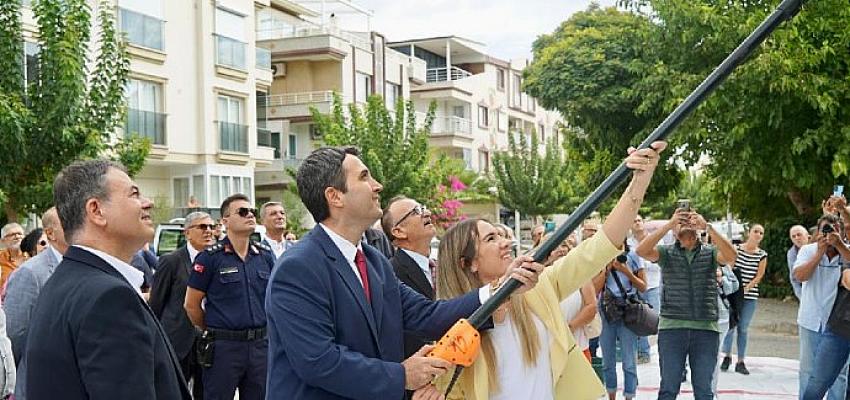 Didim'de Ata ağaçlarında zeytin hasadı gerçekleştirildi