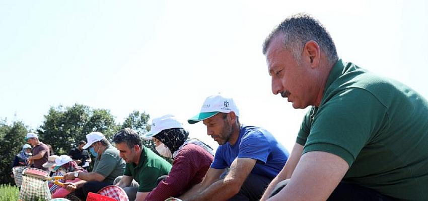 Kooperatif ve birliklere hibe desteği başvuruları 22 Nisan'da sona eriyor