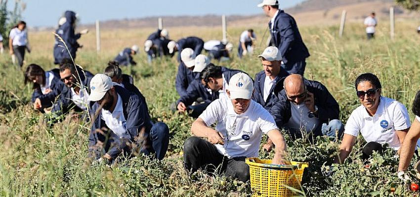 CarrefourSA, gönüllüleriyle birlikte Cumhuriyet için ‘seferber’ oldu