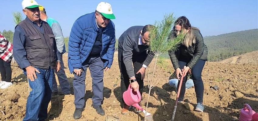 Kınık'ta Fidanlar Toprakla Buluştu