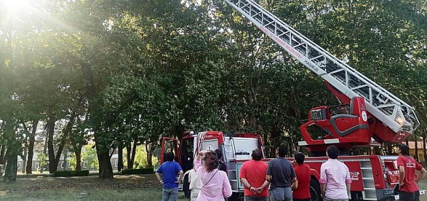 Ağaçta kalan İHA'yı itfaiye kurtardı