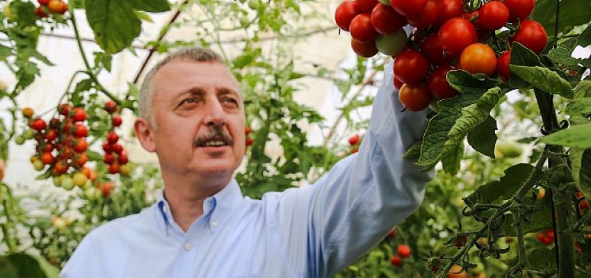 Başkan Büyükakın: Üretimi destekliyoruz bereketini topluyoruz