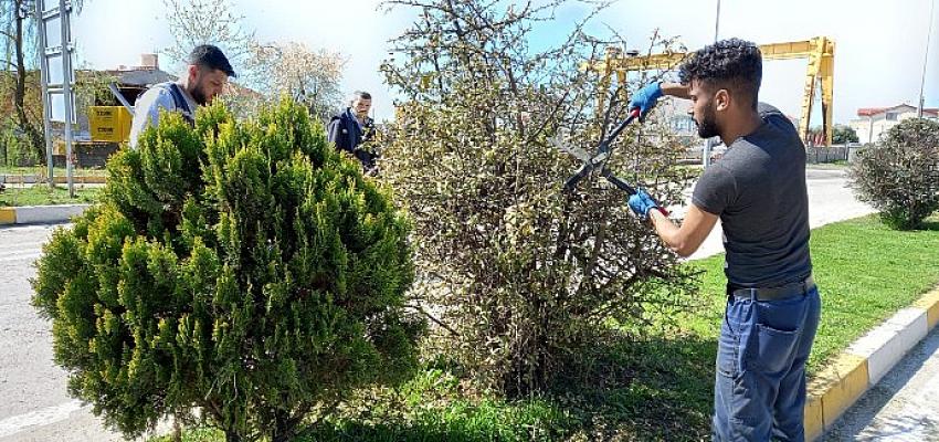 Saray Belediyesi'nden bahar temizliği